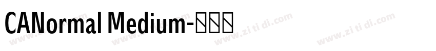 CANormal Medium字体转换